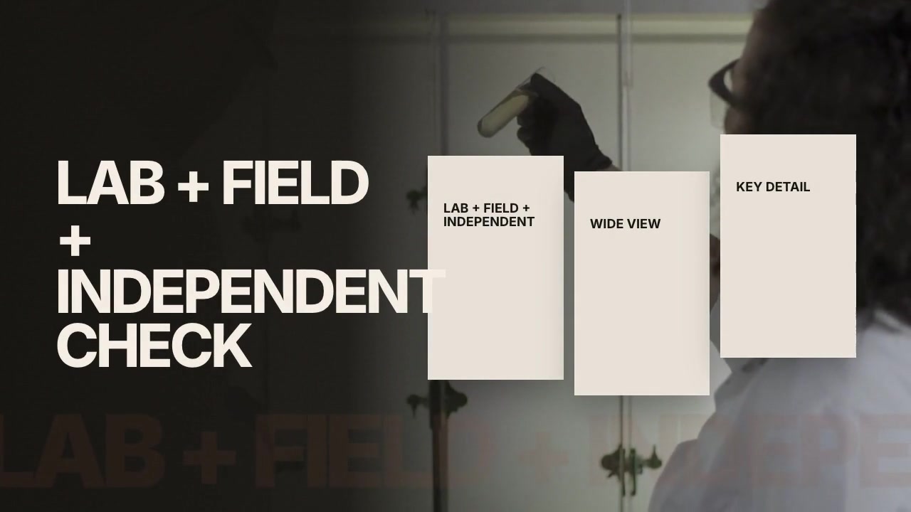 Field Notes video essay template preview
